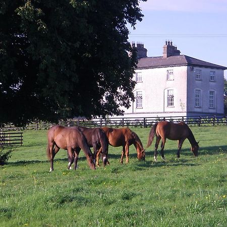 Glebe House Pension Taghshinny Buitenkant foto